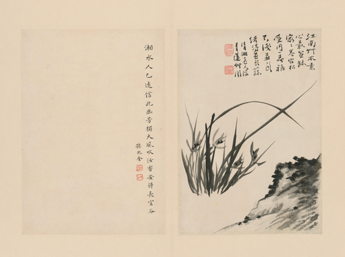 原济兰竹册－坡石兰草, , Shitao