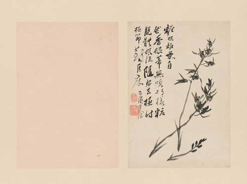 原济兰竹册－兰花, , Shitao