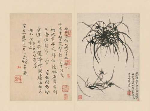 原济兰竹册－兰草, , Shitao
