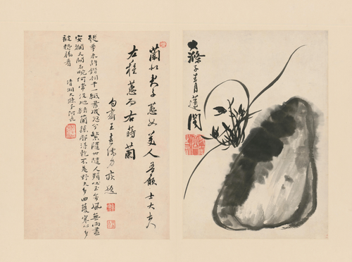 原济兰竹册－兰石, , Shitao