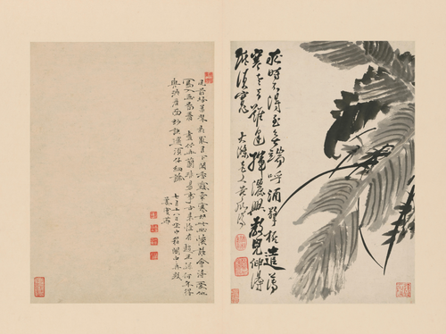 原济兰竹册－蕉叶兰草, , Shitao