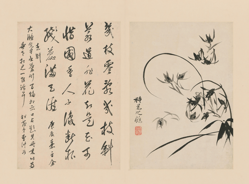 原济兰竹册－兰花, , Shitao