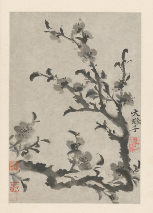 原济花卉图册, , Shitao
