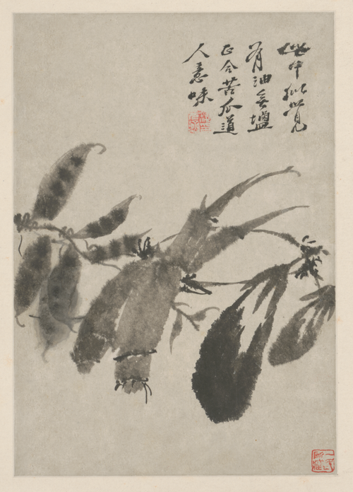 原济花卉图册, , Shitao