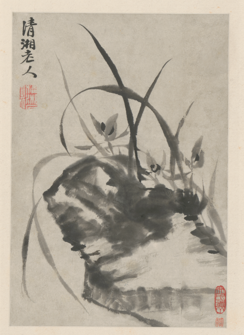 原济花卉图册, , Shitao