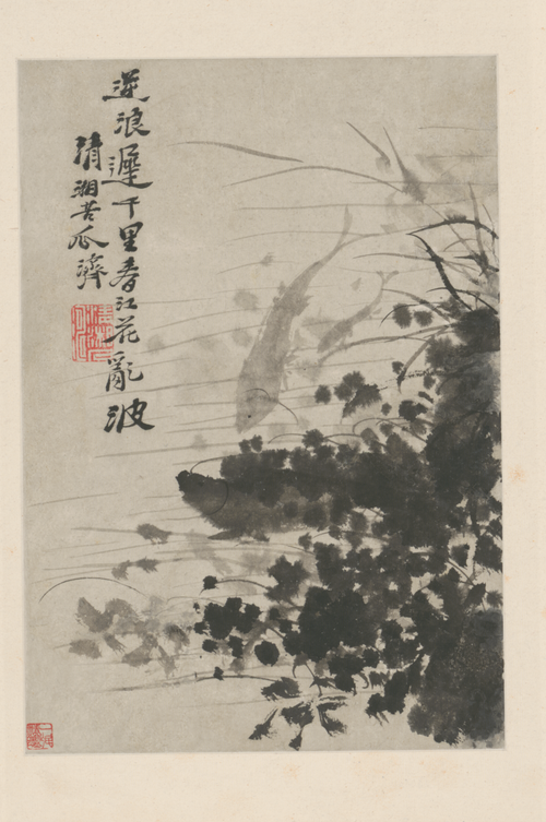 原济花卉图册, , Shitao