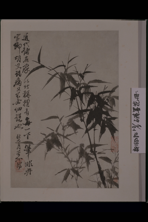 原济花卉图册, , Shitao