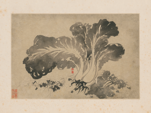 原济墨白菜图页, , Shitao