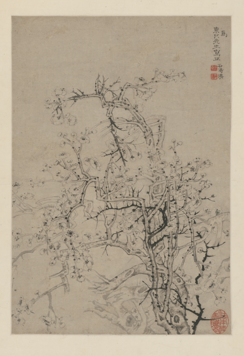 原济墨梅图轴, , Shitao