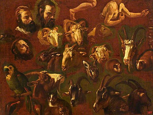 Studies in Human and Animal Anatomy, , Philipp Peter Roos