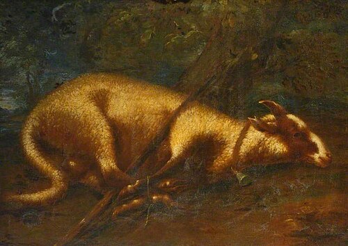 Sheep, , Philipp Peter Roos