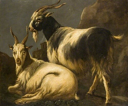 Study of Goats, , Philipp Peter Roos