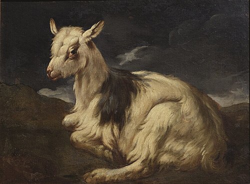 A Goat Resting, , Philipp Peter Roos