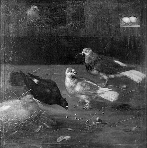 Pigeons, 1759, Philipp Peter Roos