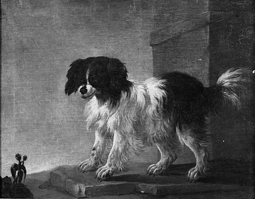 Bolognese Dog, 1688, Philipp Peter Roos