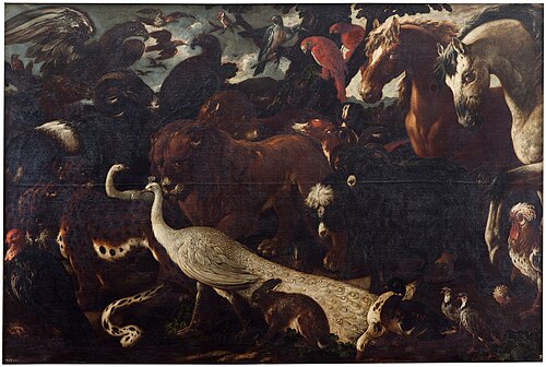Various animals gathered before Noah's Ark, 1669, Philipp Peter Roos