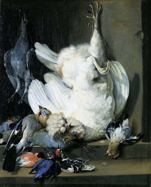 Still Life with Dead Poultry, 1676, Johann Heinrich Roos