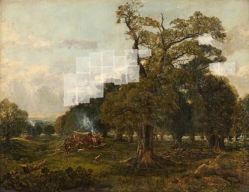 View in Cadzow Forest, , Alexander, the younger Fraser