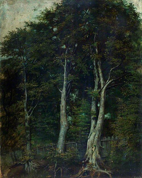 Beech Trees, , Alfred Clint