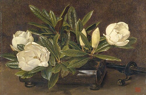 Magnolias, 1900, Alfred Parsons