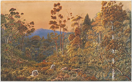 A golden eve, Waiheke Island, 1890, Alfred Sharpe