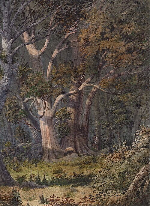 Burial place of Hone Heke, Bay of Islands, 1883, Alfred Sharpe