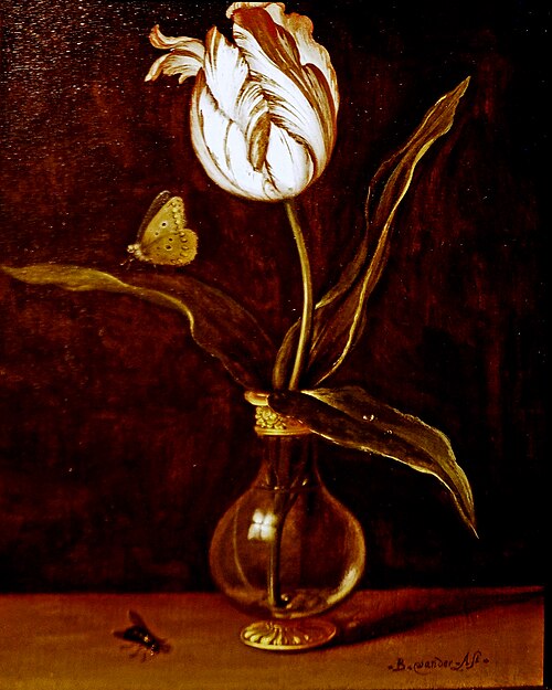 Vase with a single tulip, 1625, Balthasar van der Ast
