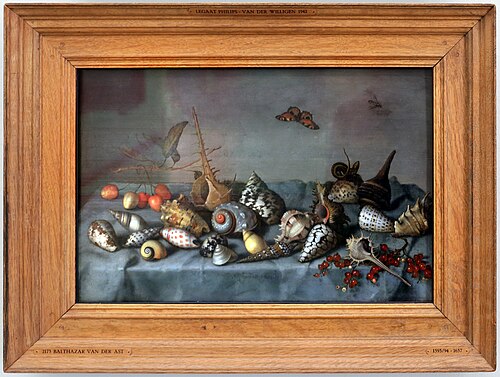 natura morta con conchiglie, , Balthasar van der Ast