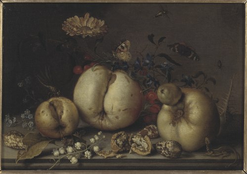 Still Life with Fruit and Shells, 1632, Balthasar van der Ast