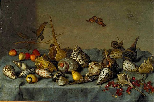 Nature morte aux coquillages, 1640, Balthasar van der Ast