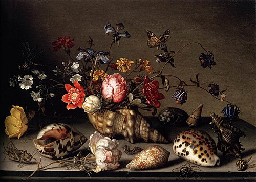 Still Life with Flowers, Shells, and Insects, 1635, Balthasar van der Ast