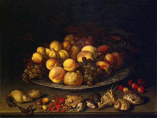 Plate with Fruits and Shells, 1630, Balthasar van der Ast