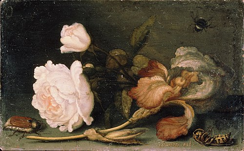 Still Life with Rose and Iris, 1650, Balthasar van der Ast