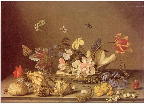 Still Life with Shells and Flowers, 1638, Balthasar van der Ast
