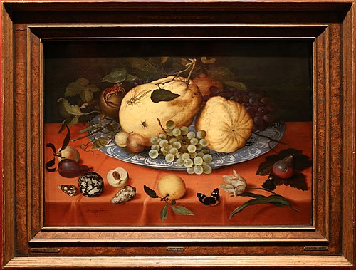 Natura morta con frutta, conchiglie e tulipano, 1620, Balthasar van der Ast