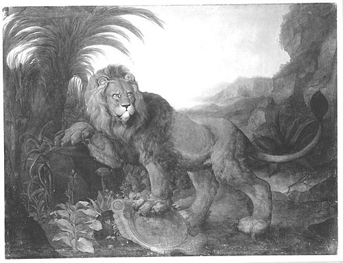 Ein Löwe, 1721, Johann Melchior Roos