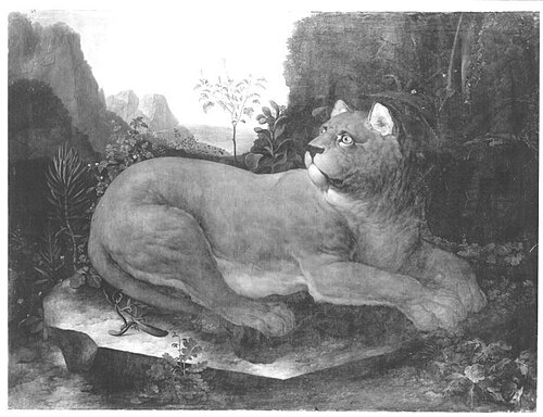 Eine Löwin, 1721, Johann Melchior Roos