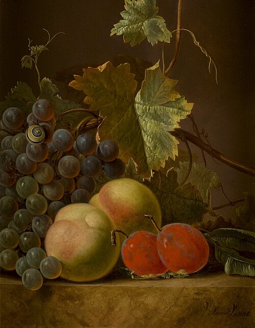 Stilleven met fruit, , Vincent Jansz van der Vinne