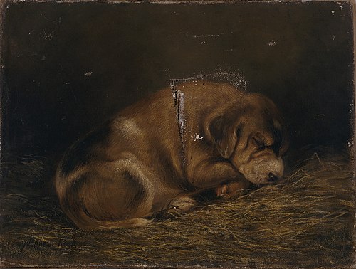 Étude de chien, , Yvonne de Kock