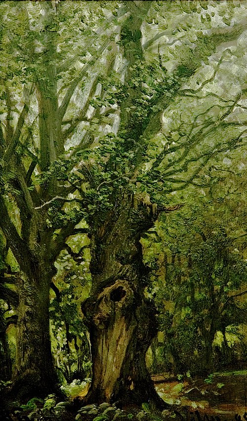 Alte Eichen im Wald (Vilm), 1889, Hermann Eschke