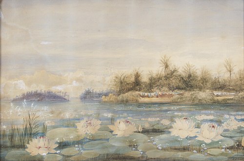 Water lilies in front of Ceylon, , Andrew Nicholl