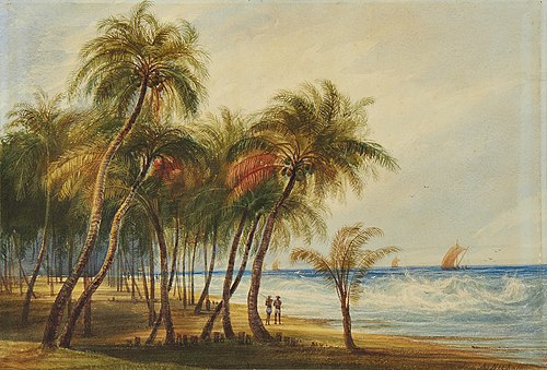A beach in Ceylon, , Andrew Nicholl
