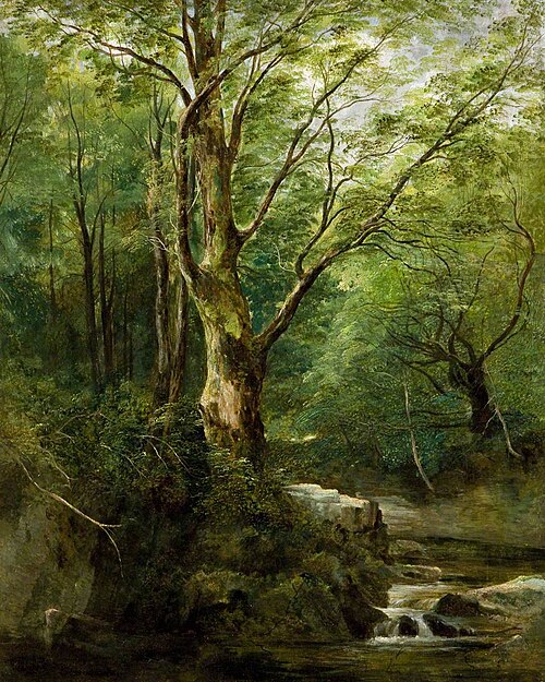 The Old Tree in the Glen – June, 1843, Andrew Nicholl