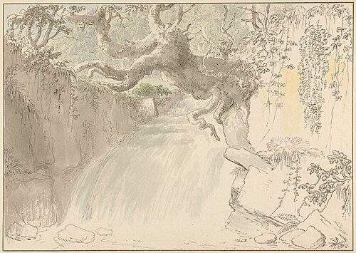 Waterfall and Tree Trunk, , Anthony Devis