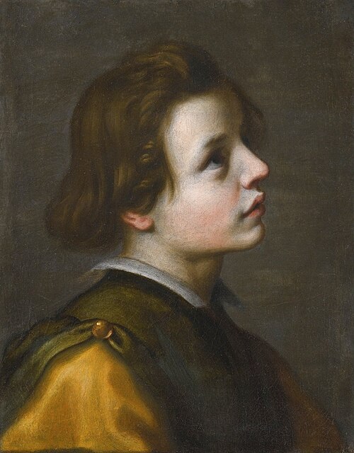 Head of a Youth, , Francesco Curradi