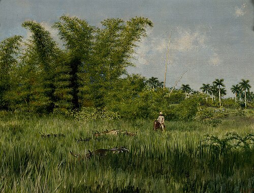 Landscape with wild cane and cattle, 1920, Armando Menocal
