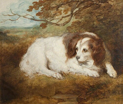 The Dog Dido, 1801, Arthur William Devis