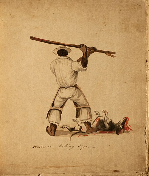 Waterman killing dogs, 1850, Pancho Fierro
