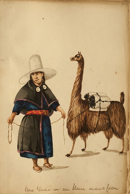 An Indian with a llama selling coal, 1850, Pancho Fierro