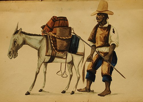 Untitled, 1850, Pancho Fierro